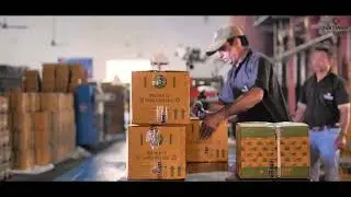 Platiinum Lubricants Manufacturing Facility, Gorakhpur, Uttar Pradesh, India