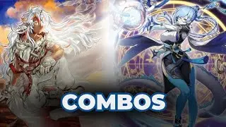 Dracotail Branded! New combos and new supports!