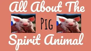 🌹🌙 THE PIG SPIRIT🌙🌹The Pig as your Spirit Animal & its Symbolism