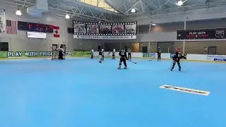Champion Impact vs. Revolt Roosters- PIHA- Minor- regular season
