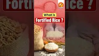 What is Fortified Rice? #shorts