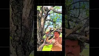 ОТКРЫЛ У СЕБЯ НЕВЕРОЯТНЫЙ ТАЛАНТ