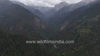 Bird&rsquo;s-eye view of Darwa Top Uttarakhand showing rugged Himalayan terrain and dense forested slopes