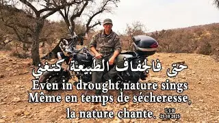 حتى فالجفاف الطبيعة كتغني M&ecirc;me en temps de s&eacute;cheresse,  la nature chante. 