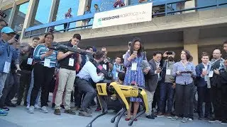 Основные моменты сессий TC: Робототехника + ИИ 2019