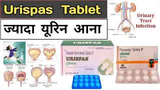 Urispas tablet | Flavoxate (200mg) | Urikind | Prevent muscle spasms of the urinary tract | Hindi