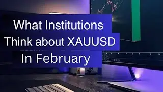 What Institutions Think about XAUUSD in February | The BlueScreen Podcast EP2