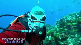 Feb Diving With Fly & Dive & Friends
