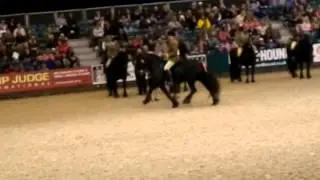 Kebroyd Onyx Hoy's 2012