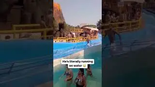 A surprising twist of fate 🤔😮#short