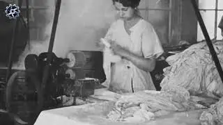 Logging the Forest and Women's Factory Work in 1915 | A Glimpse into World War I Era Industries