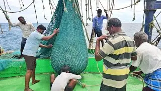 விசைப்படகில் 2 ஆம் பாட்டில் பிடித்த மீன்களை பாருங்க