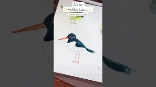 Welcome to my #sketchbook! #birdingcommunity #birds #birdslover #nature #art #watercolor #birdart