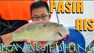 Pasir Ris Kayak Fishing: Parrot fish, Jahan and flathead- Singapore kayak fishing S1Ep37