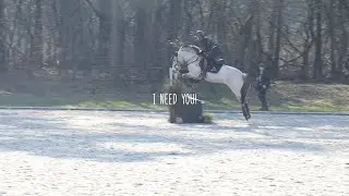 Hard Work |PaintedPony