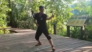 Song Style Xingyi Quan - Zhao Chuan Hui 2019