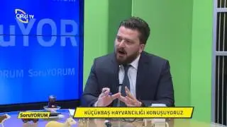 SoruYorum-Küçükbaş Hayvan Yetiştiriciliğini Konuşuyoruz....