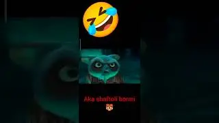 aka shaftoli bormi 🐯