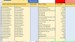 Company Act Grouping for schedule 3 Automation Tool Explained