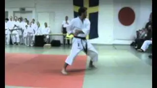 Elvir Muratovic Tekkishodan GAK Enighet 2010