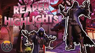 *HEALER* MAIN PLAYING DPS (Somehow this went well)