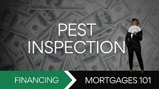 Wood Destroying Insect Inspection Report