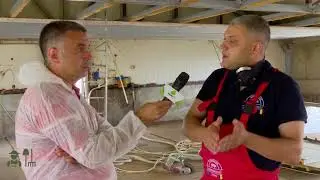 Cum este văzută pesta porcină africană de crescătorii de suine?