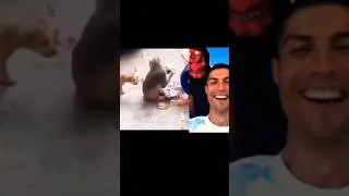 funny video #funnyvideo #comedyvideo #fullfunny