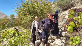 🌸 The secret of Iranian nomadic life🍐Harvesting wild pears and🌺mountain barberry in pristine nature!