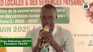 Journée Céréales locales et Semences Paysannes: Enjeux des  semences paysannes, quelles solutions!!!