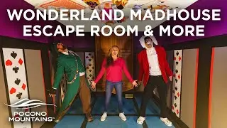 Wonderland Madhouse and Madness Distillery