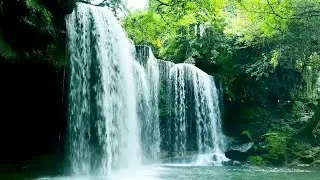 Calm Woodland Stream with Beautiful Birdsong, Relax and Unwind, ASMR