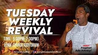 🔥 Tuesday Weekly Revival  || Prophet Ade Adebiyi || 27th Jan. 2025
