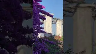 Ravello, Amalfi Coast 💜 #shorts #ravello #amalficoast
