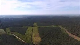 For&ecirc;t Domaniale d'Ermenonville - Mortefontaine (drone)
