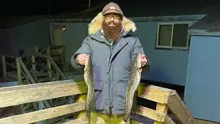 Ice Fishing for Alaska Lush! (Burbot Fishing) #alaska #alaskaliving  #alaskafishing #burbot