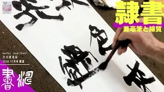 【書道】 隷書作品の書き方＊”兼毫筆と線質”＜書濤2024 11月号 解説⑤条幅 隷書＞半切 半折 書道作品制作