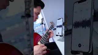 Using the app Audio Jam to transcribe jazz guitar! What do you think? #guitar #guitarist #jazzguitar