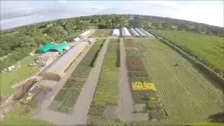 P&eacute;pini&egrave;res Leboucher 2021