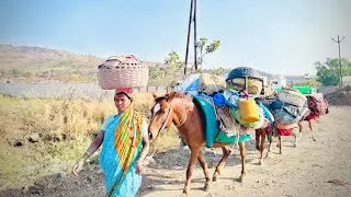 घोड्याने तळावरच आपल बिऱ्हाड पाडल||🥹 चांगलीच झाली दैना