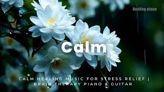 Calm Healing Music for Stress Relief | Brain Therapy Piano & Guitar ☘️