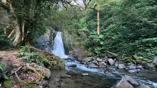 Majestic Mountain Waterfall – Powerful Cascading Water Sounds for Deep Sleep & Meditation