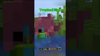 Worst food item in Minecraft 😳 #minecraft #usa #shorts