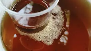 Ikan anda susah bertelur? Wajib tonton video ini 💪🏻💪🏻💪🏻