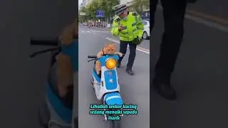 LIHATLAH SEEKOR KUCING YANG SEDANG NAIK SEPEDA LISTRIK#cat #funny #shorts #short