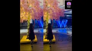 W HOTEL BRISBANE #sophiestudio #whotelbrisbane #threeblueducks