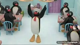 pingu y su pandilla 3 episodio 1 diga cheese