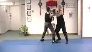 The Martial Way