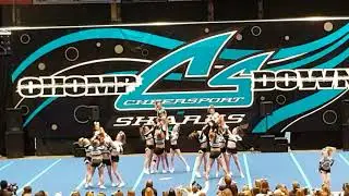 | Lantern Sharks💙 | Chompdown 2017 |