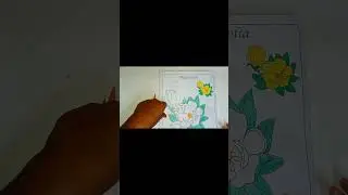 Coloring the Elegance: Magnolia A1 Coloring Page 🌸